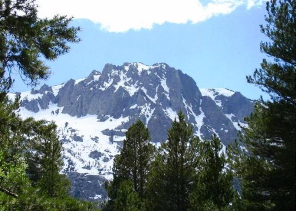Birch Creek #1 - 1Br/1Ba - Down Canyon June Lake Eksteriør bilde