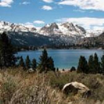 Birch Creek #1 - 1Br/1Ba - Down Canyon June Lake Eksteriør bilde